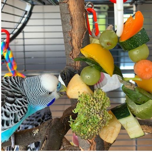 Юбкадағы отыру бейнелері